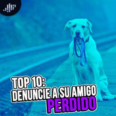 top-10:-denuncie-a-su-amigo-perdido
