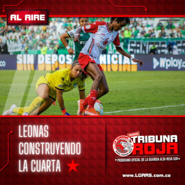 leonas-construyendo-la-4ta-