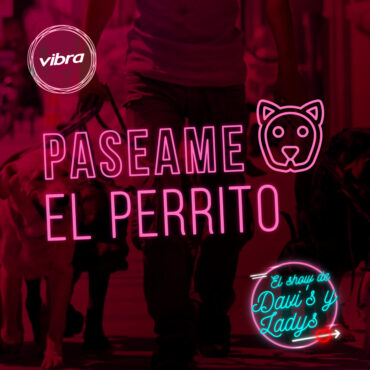 paseame-el-perrito-|-davi’s-y-ladys