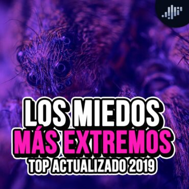 los-miedos-mas-extremos-(version-2019)
