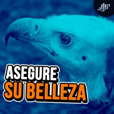 asegure-su-belleza