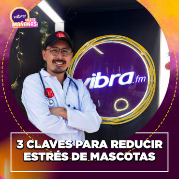3-claves-para-reducir-estres-de-mascotas-por-polvora-|-camilo-raigoso